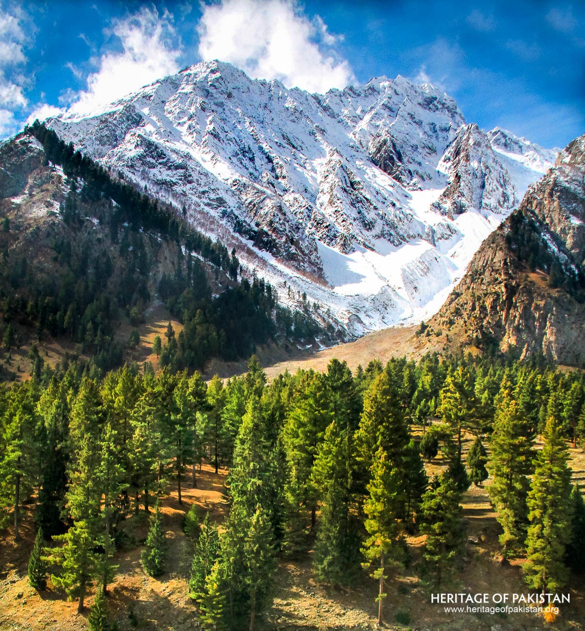 Naltar valley 