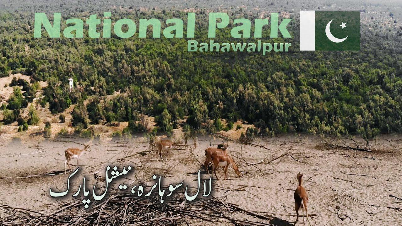 Lal Suhanra National Park