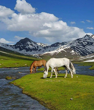 Khyber Pakhtunkhwa