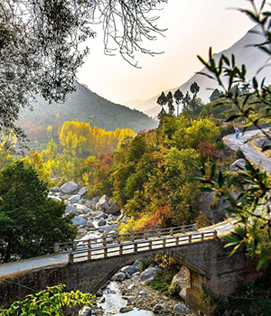 Khyber Pakhtunkhwa