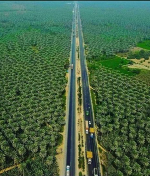 Sindh